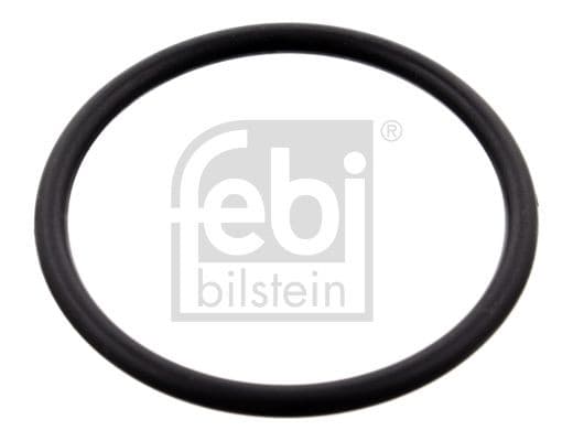 Прокладення двигуна FEBI BILSTEIN 100077